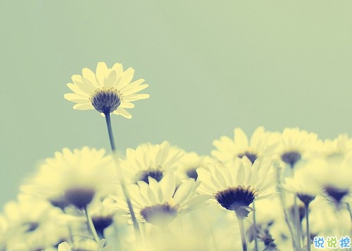 微信唯美憂傷說說一句話帶圖片 適合悲傷時(shí)發(fā)的唯美句子14