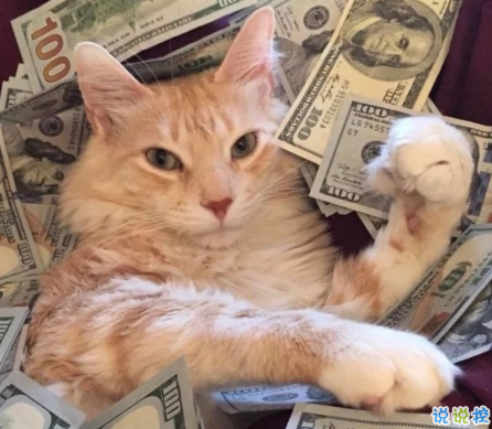 可愛(ài)說(shuō)說(shuō)配圖2018女生專屬 我生來(lái)就是寶貝，來(lái)到世間就是被寵的1