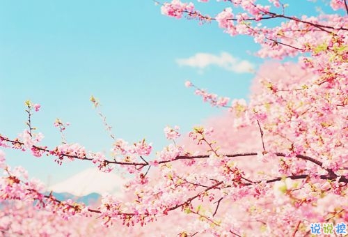 微信朋友圈愛情說說帶圖片 陽光灑在身上像極了愛情12