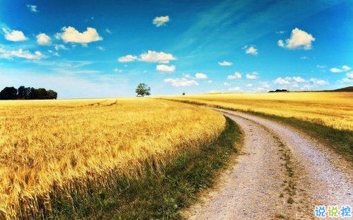 2019年除夕夜勵(lì)志經(jīng)典說說帶圖片 除夕夜微信說說簡單一句話9