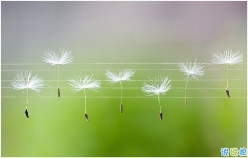 關于現實的人生感悟帶圖片 27條值得收藏和學習的經典說說大全7