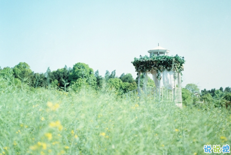 經(jīng)典有道理的說說帶圖片：我讀過很多書，但后來大部分都被我忘記了2