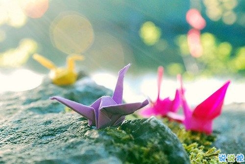 選擇放棄的傷感愛情說說帶圖片 描述對愛情感到無奈的說說7