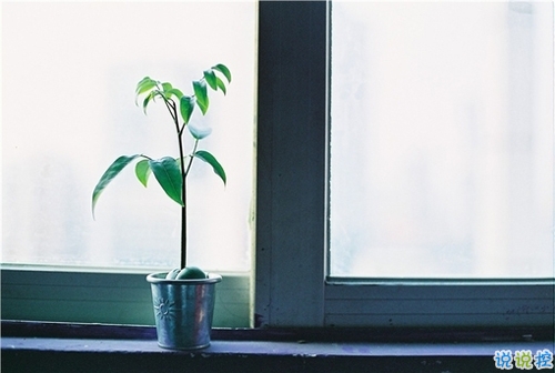 晚安句子大全簡(jiǎn)單正能量 睡覺前致自己的勵(lì)志句子1