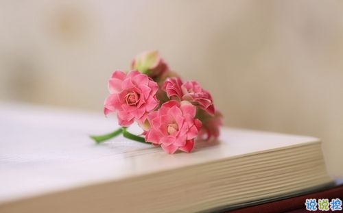 抖音好聽個性說說帶圖片 能夠吸引人的一句話說說9