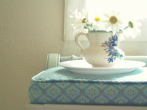 有哪些詩歌讀到后心里像開出了一朵花？15