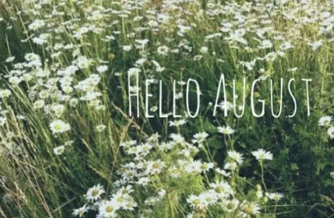 再見七月八月你好圖片說說2018最新版 唯美好聽的八月你好說說配圖5