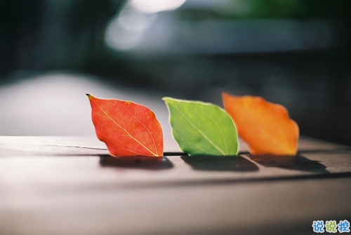 唯美又文藝的句子可以寫到作文里 很唯美的作文素材一句話經(jīng)典句子1