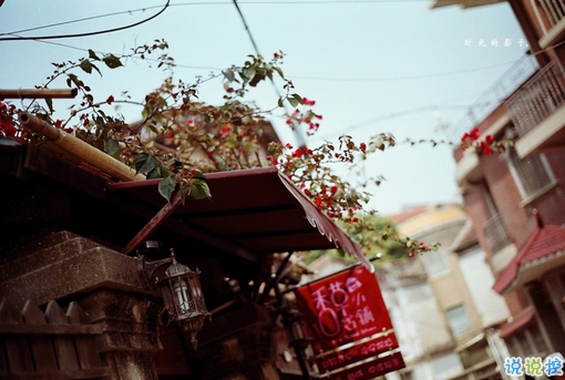 14條很美很好聽(tīng)的文藝唯美說(shuō)說(shuō)帶圖片 森系文藝范古風(fēng)說(shuō)說(shuō)2