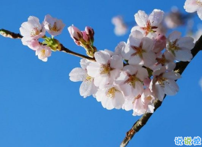 很現(xiàn)實的人生感悟經典句子 人生感悟句句精辟帶圖片11