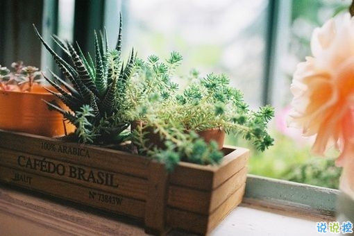 一句話讓女朋友炸毛 女生聽(tīng)了瞬間生氣的句子合集14