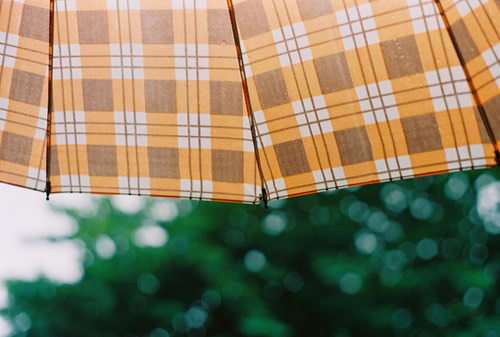 很現(xiàn)實的人生感悟空間說說大全 關(guān)于成長和成熟你需要知道的說說1