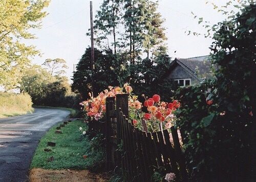 關(guān)于成長人生和愛情的美到讓人心碎的說說帶圖片3