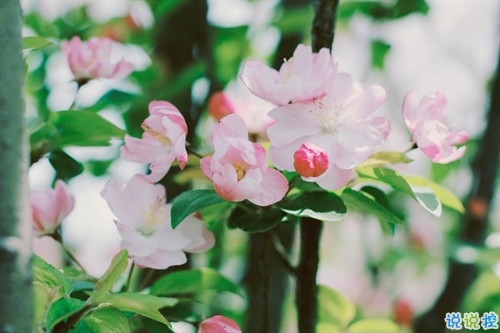 最新微信唯美說說大全女生專屬 女生都愛的文藝小清新心情說說1