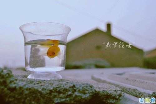 一句話淚流滿面的說說帶圖片 內(nèi)心瞬間被擊潰的經(jīng)典說說配圖6