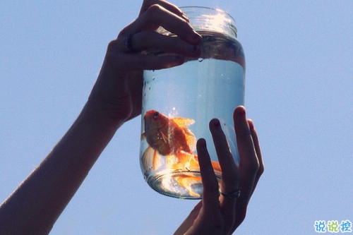 關(guān)于青春年華浪漫唯美的愛情句子 年少的笑漾著微光14