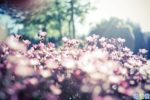 充滿少女心的浪漫愛情說說帶圖片 好聽簡(jiǎn)約有詩意的說說合集11