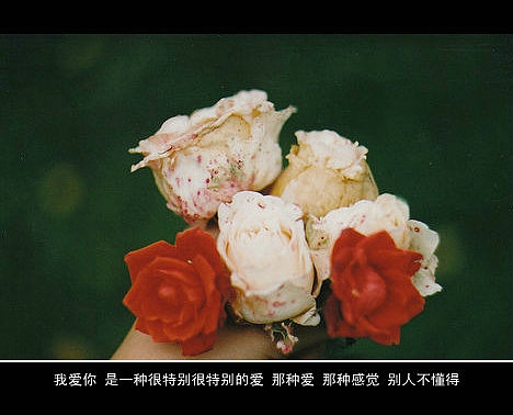 超傷感難過悲傷的愛情說說 你是我枯水年紀(jì)里的一場(chǎng)雨11