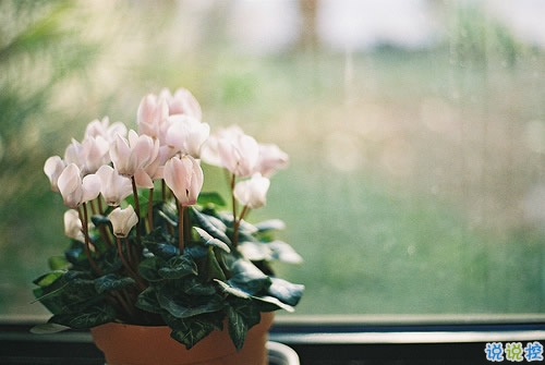 很有深度的微信勵(lì)志說(shuō)說(shuō)帶圖片 說(shuō)出來(lái)很扎心但很值得學(xué)習(xí)的說(shuō)說(shuō)7