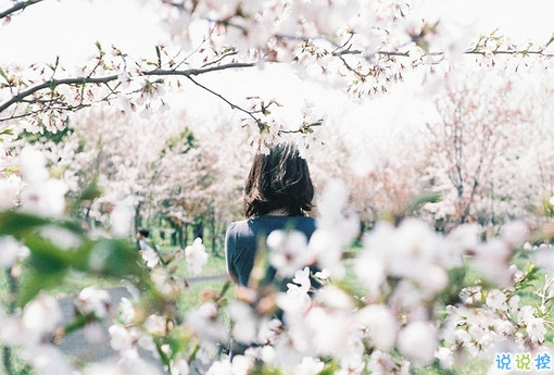 2019女生節(jié)微信說說大全帶圖片 三七女生節(jié)朋友圈祝福語說說4