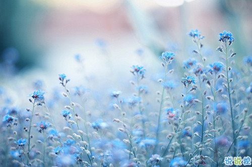 心好累的傷感說說非主流帶圖片 喜歡一個人卻得不到的悲傷說說4