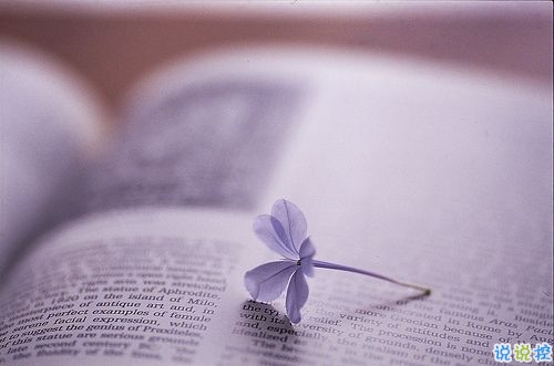 超暖心的朋友圈勵志說說帶圖片 致所有人的勵志說說值得收藏7