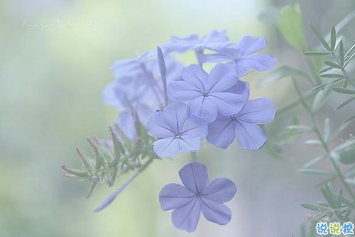 個(gè)性霸氣勵(lì)志短語說說大全 比較成熟有內(nèi)涵的個(gè)性說說15