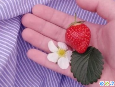 快手公布對象說說精選帶圖片 公布戀愛關(guān)系的說說5