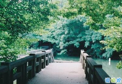 承蒙你出現(xiàn)，夠我喜歡好多年9