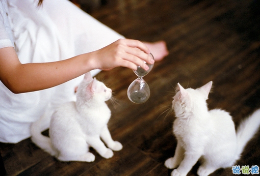 適合早晨發(fā)的說(shuō)說(shuō)早安心語(yǔ) 每天清晨叫醒你的應(yīng)該是你的夢(mèng)想12