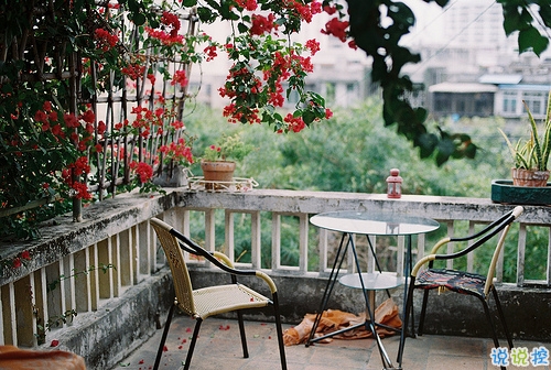 寫給異地戀的說說帶圖片 愿你漂洋過海有人在彼岸等你10