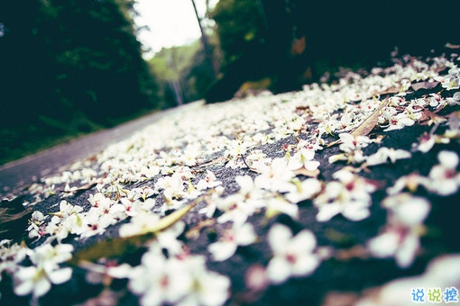 異地戀的心酸傷感說說大全 一天想你八百次的異地戀委屈句子2