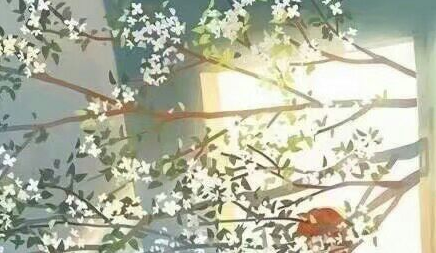 唯美優(yōu)美的文藝說(shuō)說(shuō)帶圖片 是我如今焚琴煮鶴忘了曾經(jīng)風(fēng)花雪月12