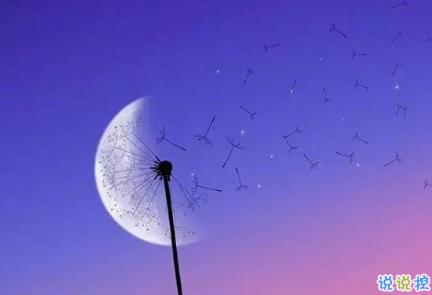 說(shuō)到心坎的傷感說(shuō)說(shuō)帶圖片戳中你的內(nèi)心 失落又心痛發(fā)朋友圈說(shuō)說(shuō)精選9