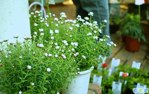 致自己的人生經(jīng)典說說帶圖片 最新朋友圈經(jīng)典說說人生哲言7