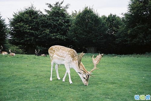 關(guān)于分離分別的傷感說說 每個人都是孤獨的傷感說說20182