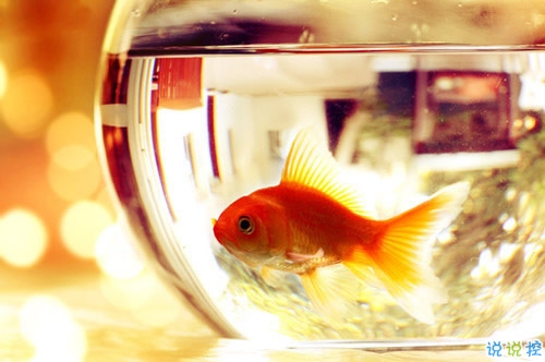 2018十一月你好說(shuō)說(shuō)大全唯美好聽(tīng)?zhēng)D片 十一月你好早安說(shuō)說(shuō)大全10