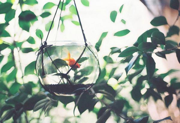 關(guān)于人生的超勵志正能量圖片說說 你優(yōu)秀了自然有對的人與你并肩12