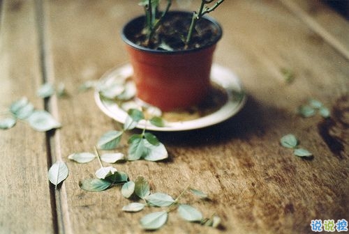 2018超拽霸氣的個性說說帶圖片 女生男生都可以發(fā)的2018超拽酷炫說說12