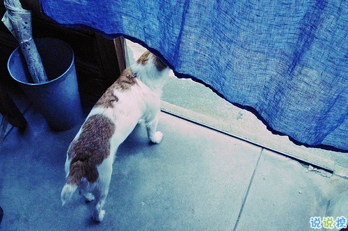 一個(gè)人獨(dú)處時(shí)的孤獨(dú)寂寞的說說帶圖片 你有看過凌晨三點(diǎn)的星星嗎7