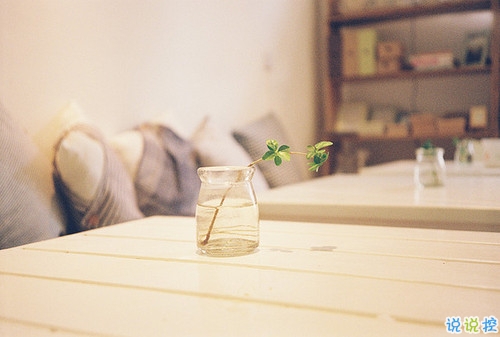 超暖心的朋友圈勵志說說帶圖片 致所有人的勵志說說值得收藏6