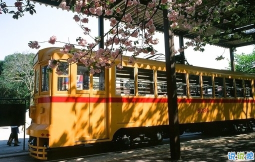 簡(jiǎn)簡(jiǎn)單單很干凈的愛(ài)情說(shuō)說(shuō)帶圖片 該留下來(lái)的人總會(huì)一直在的11