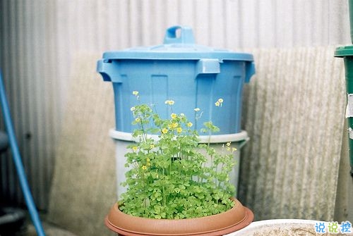 一句話讓女朋友炸毛 女生聽(tīng)了瞬間生氣的句子合集4