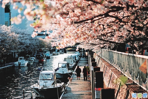 最新浪漫愛(ài)情說(shuō)說(shuō)相濡以沫帶圖片 送給女朋友的愛(ài)的誓言1