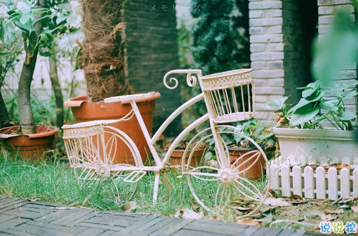 充滿少女心的浪漫愛情說說帶圖片 好聽簡(jiǎn)約有詩意的說說合集8