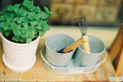 非常好聽的qq傷感唯美句子 心碎一地的唯美愛情句子2