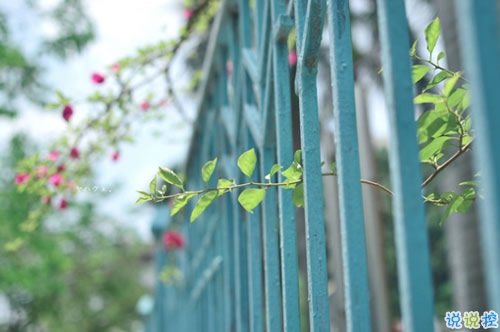 青春年少慢慢成長(zhǎng)變得成熟的個(gè)性說說帶圖片 2018很經(jīng)典的成熟個(gè)性說說1