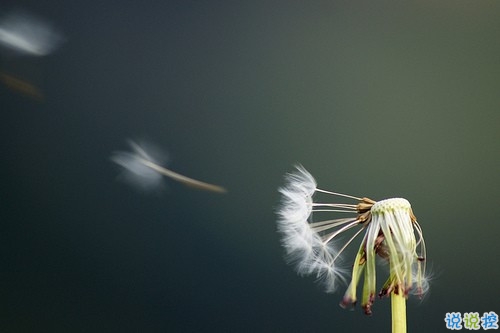 超暖心的朋友圈勵志說說帶圖片 致所有人的勵志說說值得收藏9