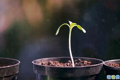 2019朋友圈經典說說大全 人生路上這些道理你必須懂得2