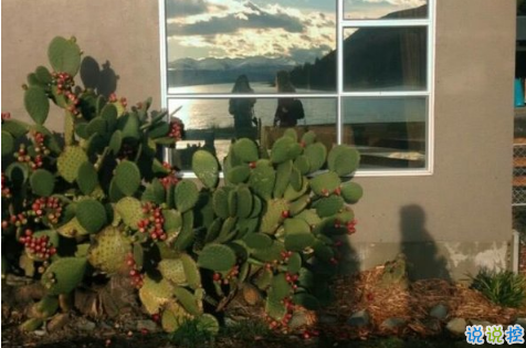 16條適合發(fā)朋友圈的旅行句子配圖 旅行句子表達(dá)心情短語(yǔ)最新版11